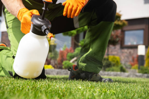 Best Best Pest Control Companies  in Lumberton, MS