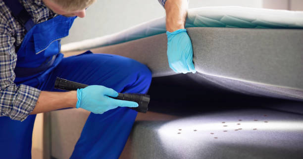 Best Pest Removal Services  in Lumberton, MS