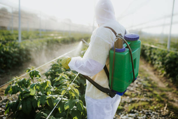 Best Affordable Exterminators  in Lumberton, MS